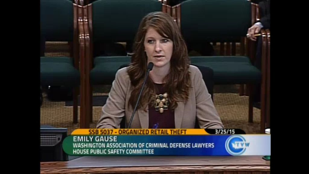 Testifying before the House of Representatives on 
