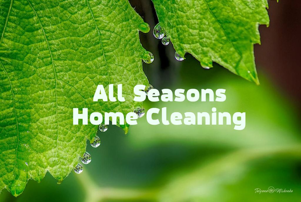 All Seasons Home Cleaning