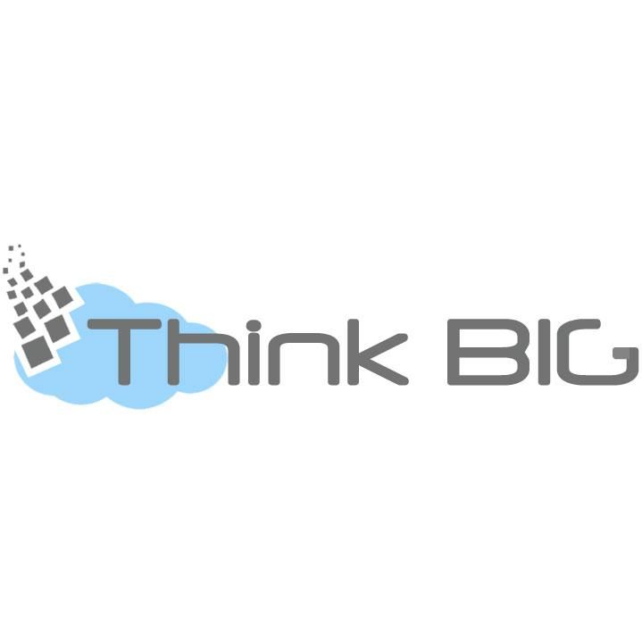 Think Big Software