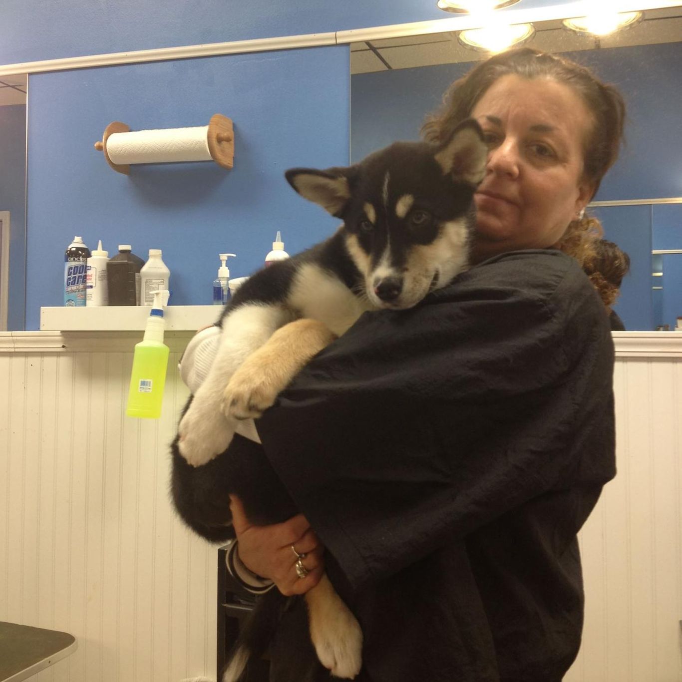 Kim's Pet Grooming Bolingbrook, IL