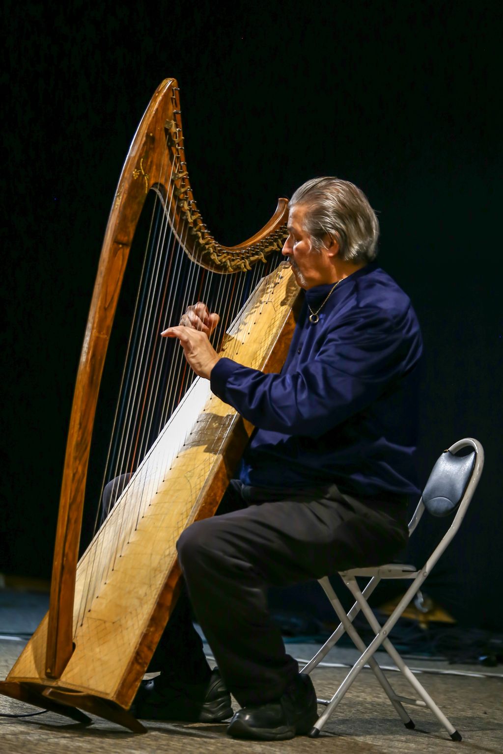 Reuben Correa Harp Music