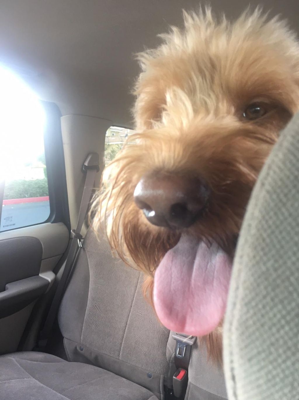 bailey 