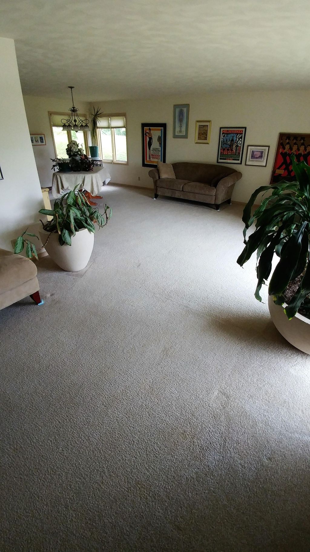 (After) I am a Pet Odor Warrior!!