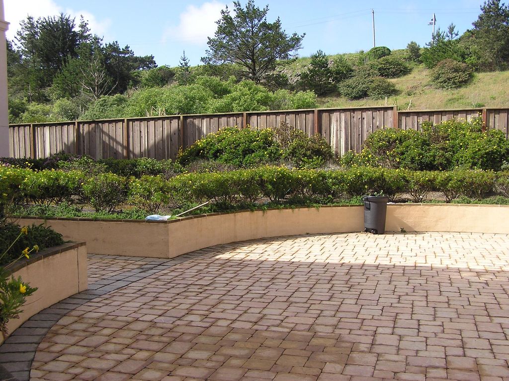 Center courtyard. Plants were already there. Just 