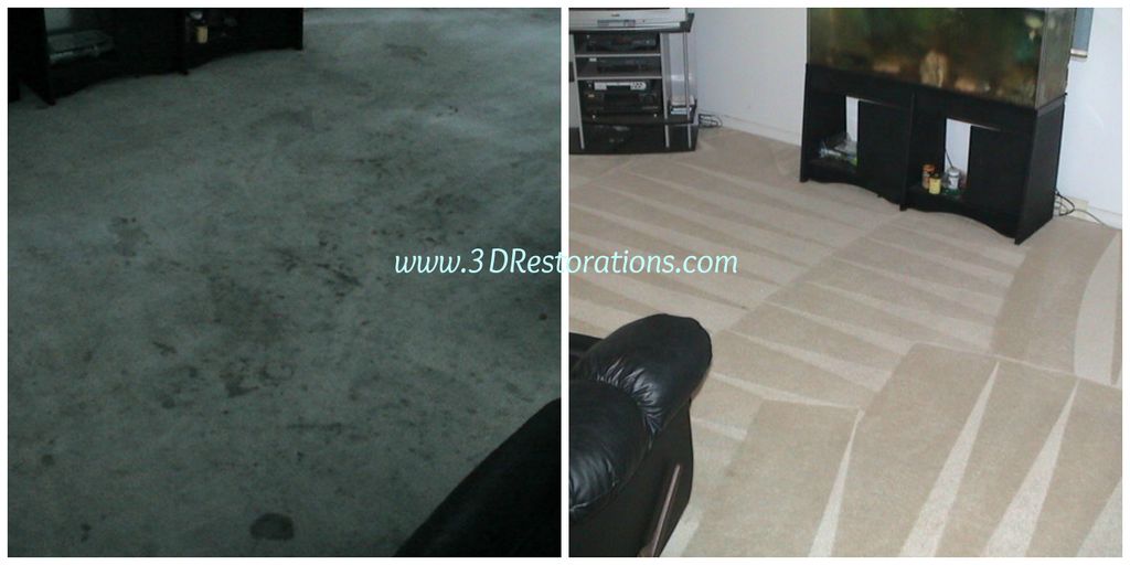 Carpet Before and After