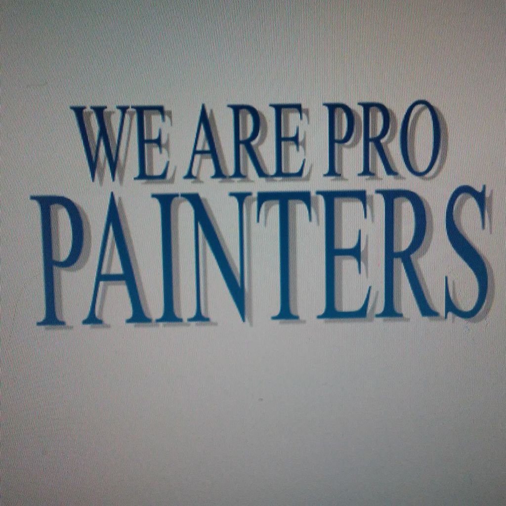 We are pro painters