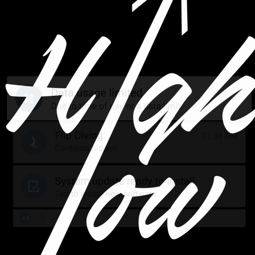 High and Low Productions and Photography LLC