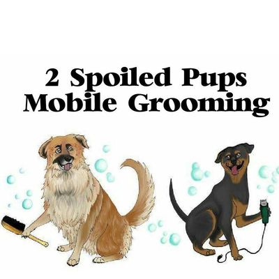 The 10 Best Mobile Dog Groomers in Concord, NC 2020