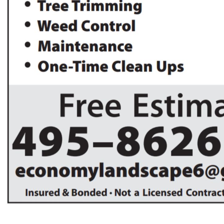 Economy landscape & Tree service. insured & bon...