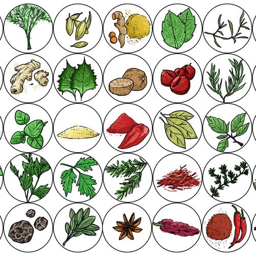 40 individually illustrated herbs and spices.