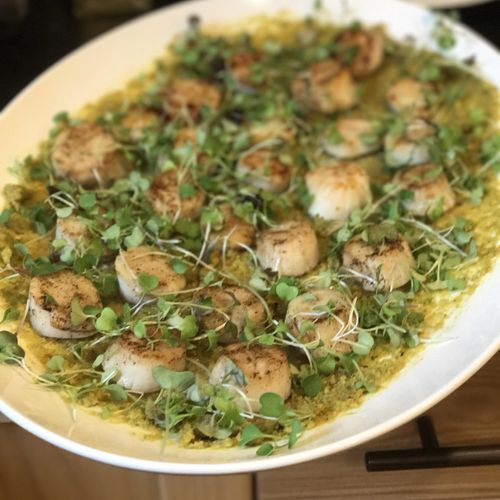 Seared scallops with pistachio pesto and arugula 
