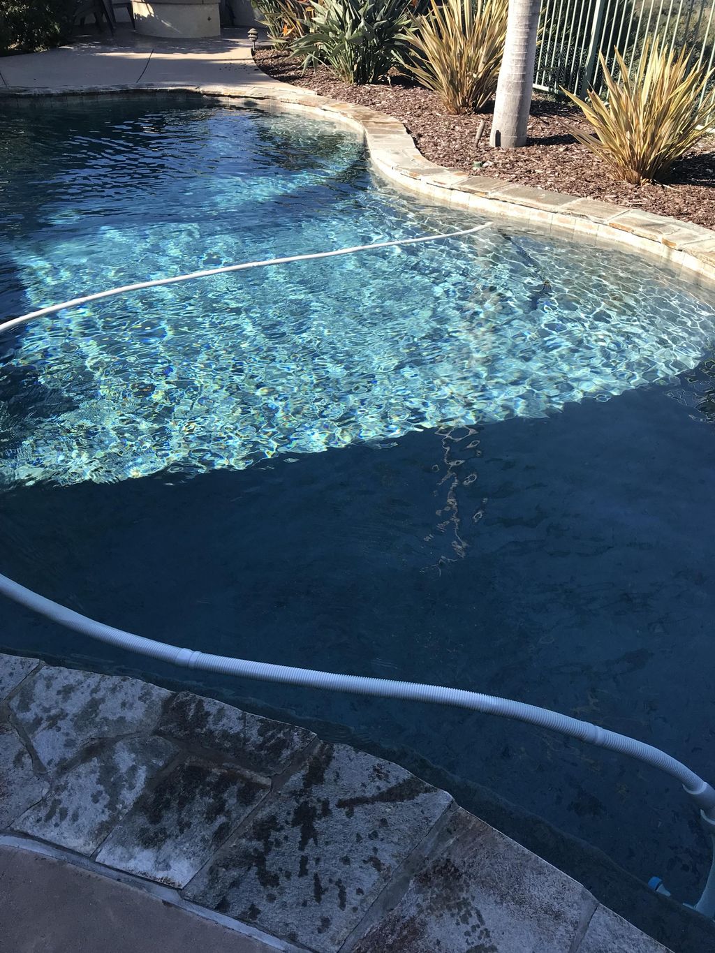 Bright Clean Pools