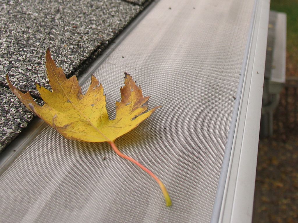 Gutter screen close up.