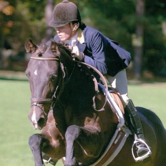 Equestrian Countryside Rides and Lessons for Ch...