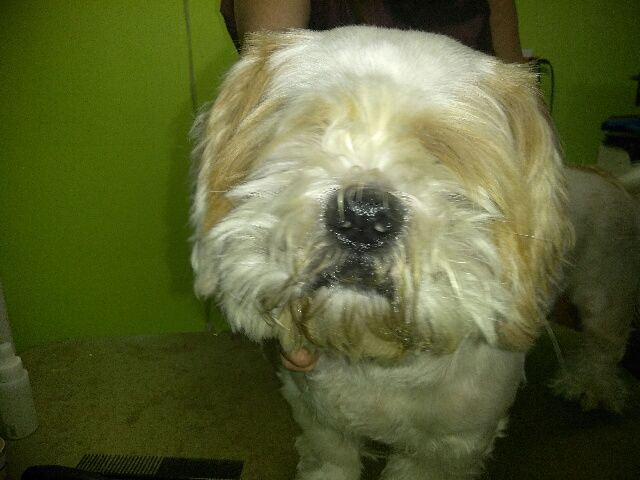 This is a before picture