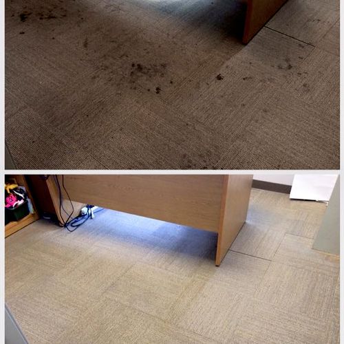 We also do commercial carpet cleaning!