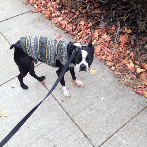 Monty shows off a sweater from his fall collection