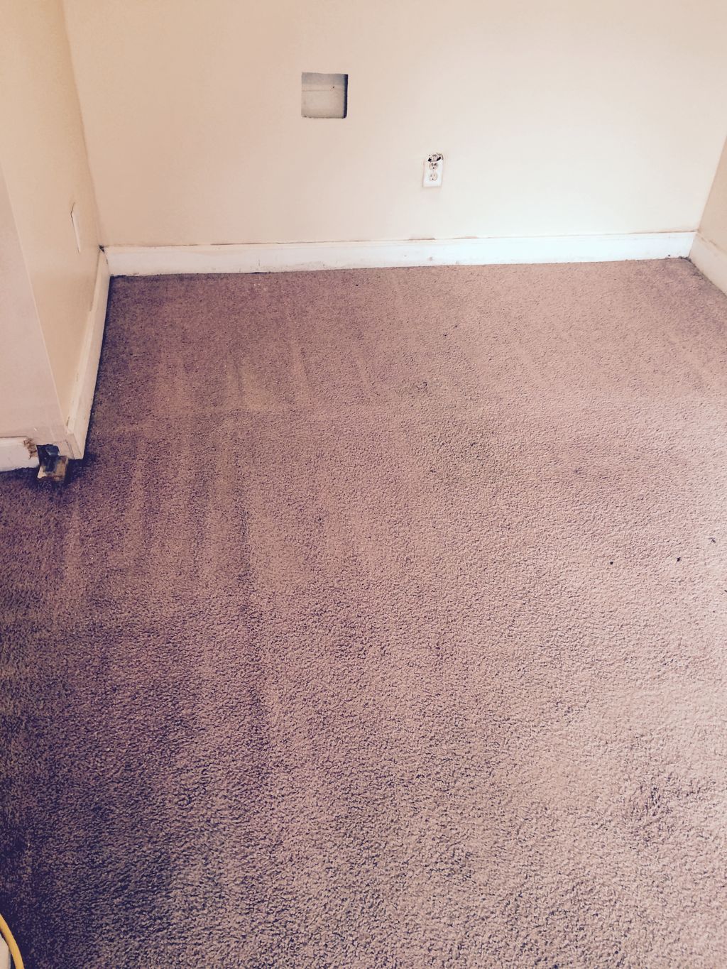 AFTER STEAM CLEANING.