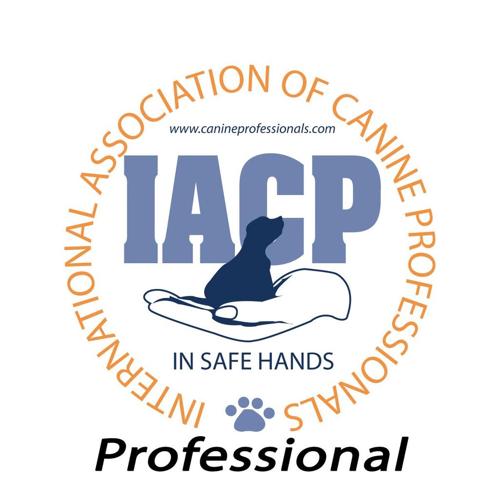 Professional Member of IACP.