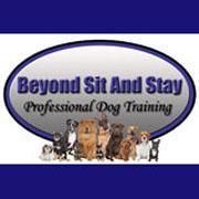 Beyond Sit And Stay Professional Dog Training