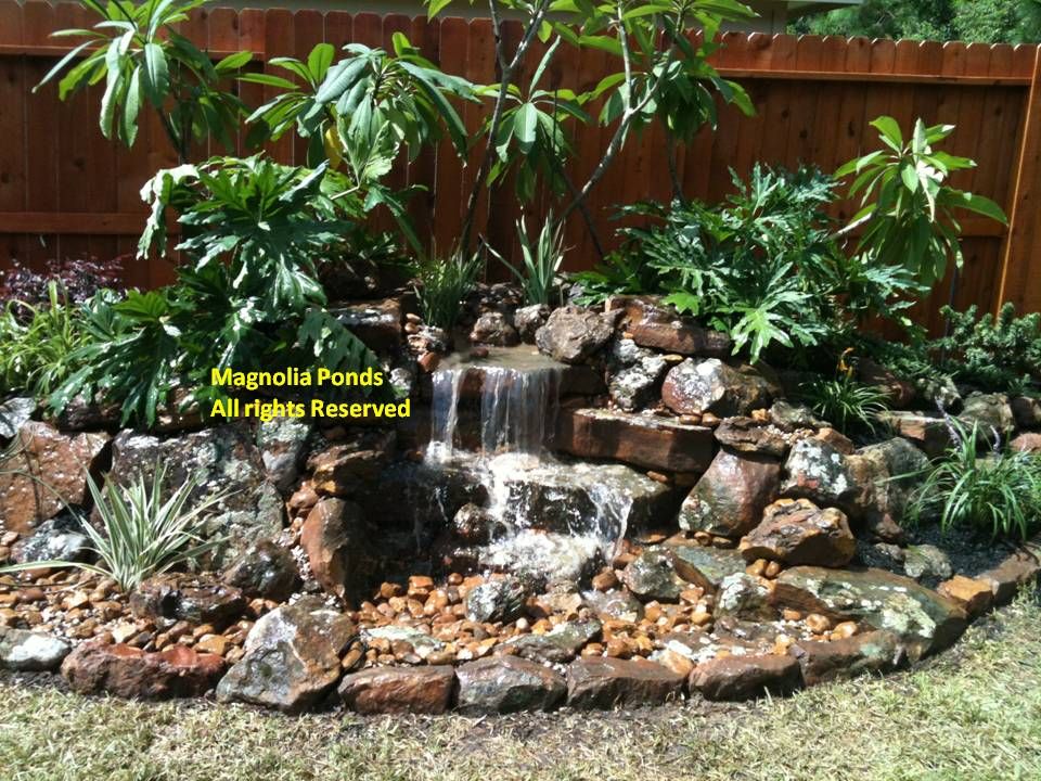 Projects do not have to massive.  A simple pond-fr