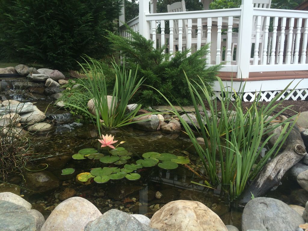 Micro Pond
