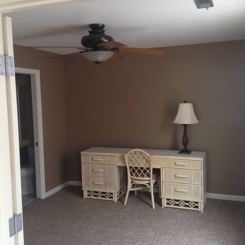 Whole house interior painting & new ceiling fans a