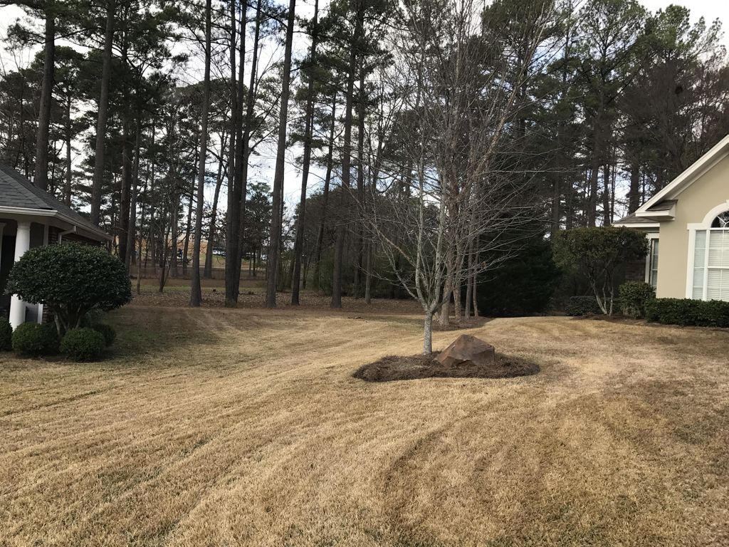 I/17/2017.  These two residential properties were 