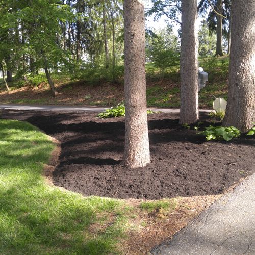 Mulching/Edging Complete at a beautiful Golf Cours