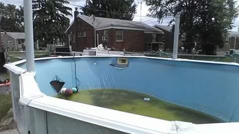 Condition of some of Pools
