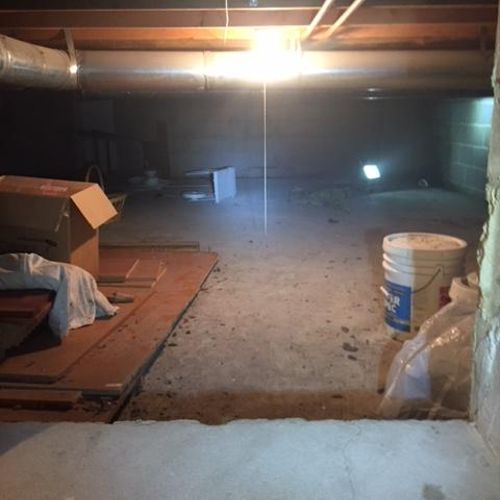 Crawl Space Mold Project