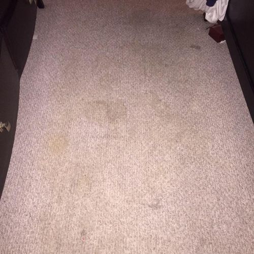 Carpet Cleaning Before (1)