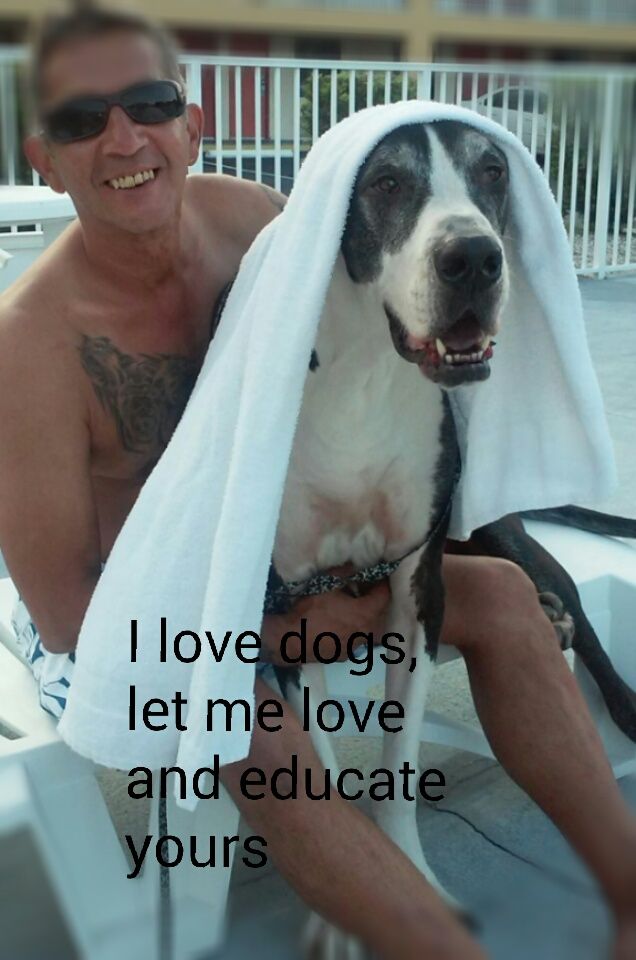 All Dogs ,All Breeds, All Ages.