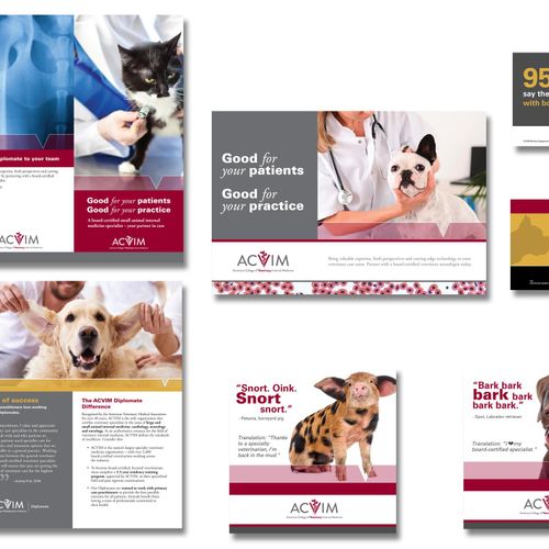 Marketing Package for a Veterinary College