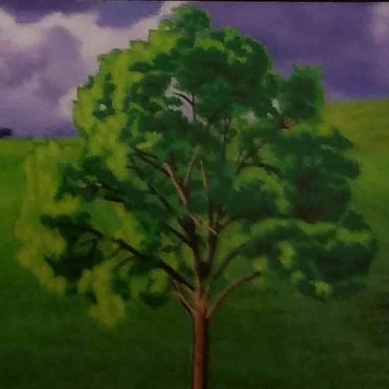 Brothers Landscaping