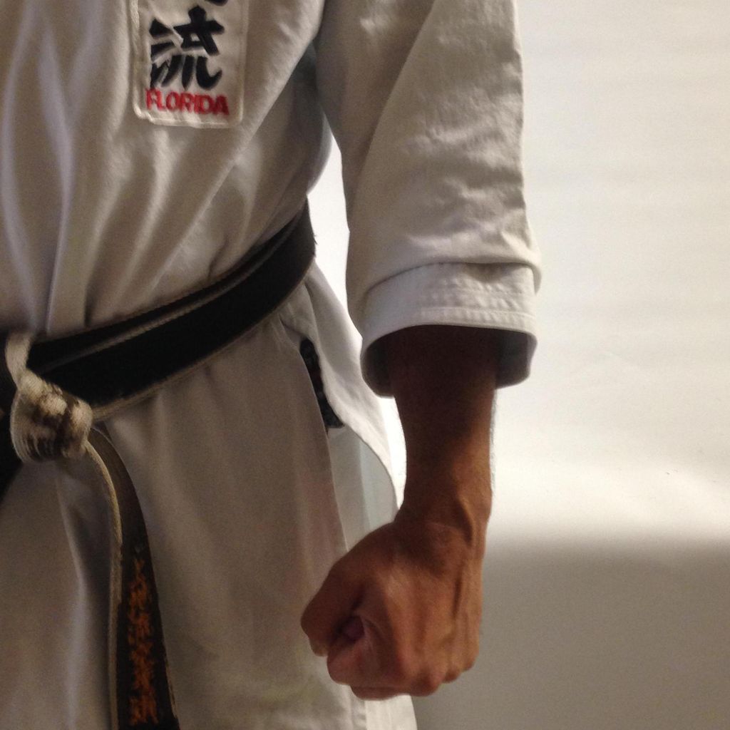 Reza Taher Okinawan Karate