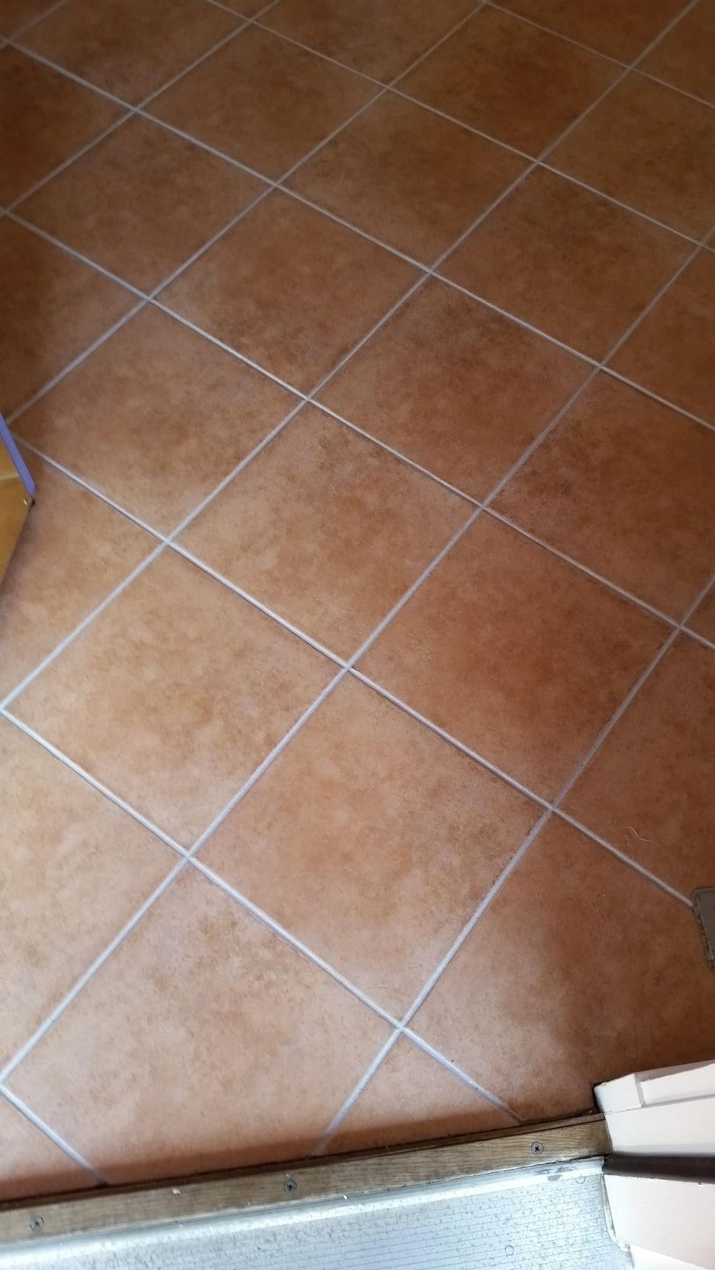 Grout line sealing services.