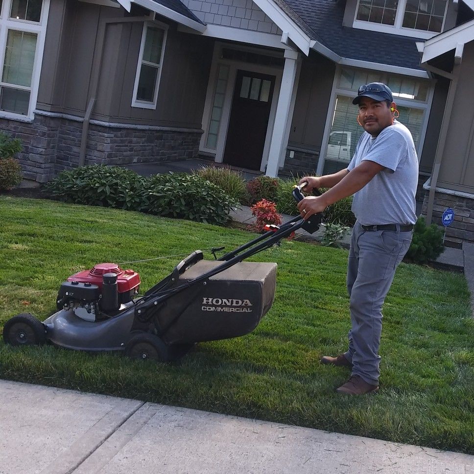 Vasquez.Landscaping and Maintenance services