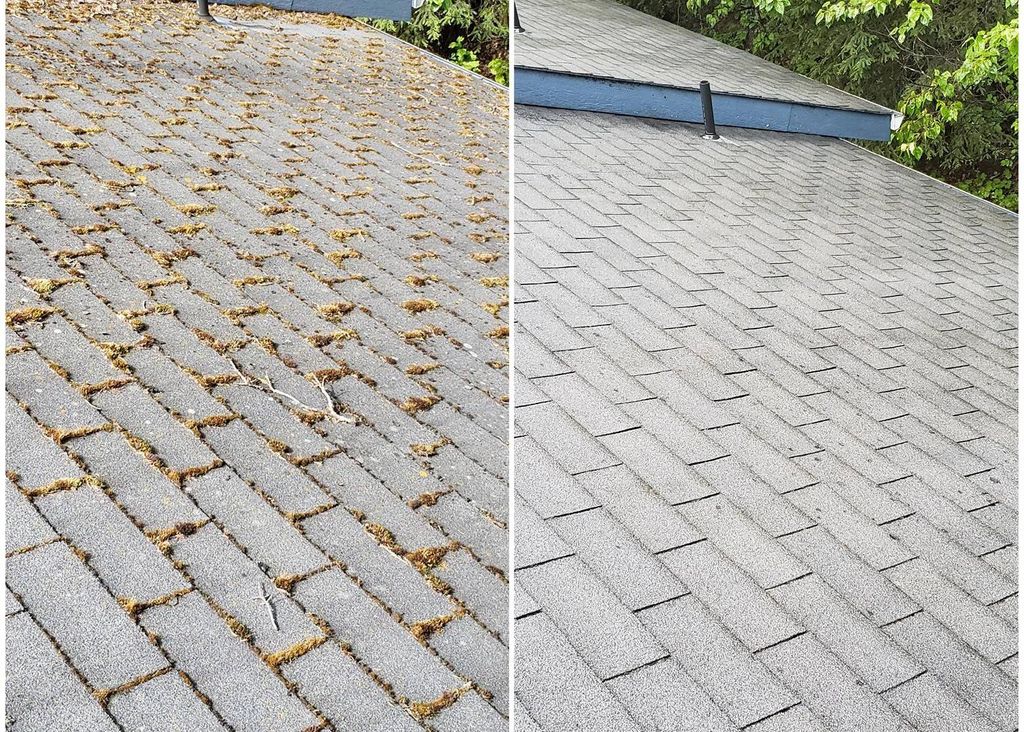 Moss Removal