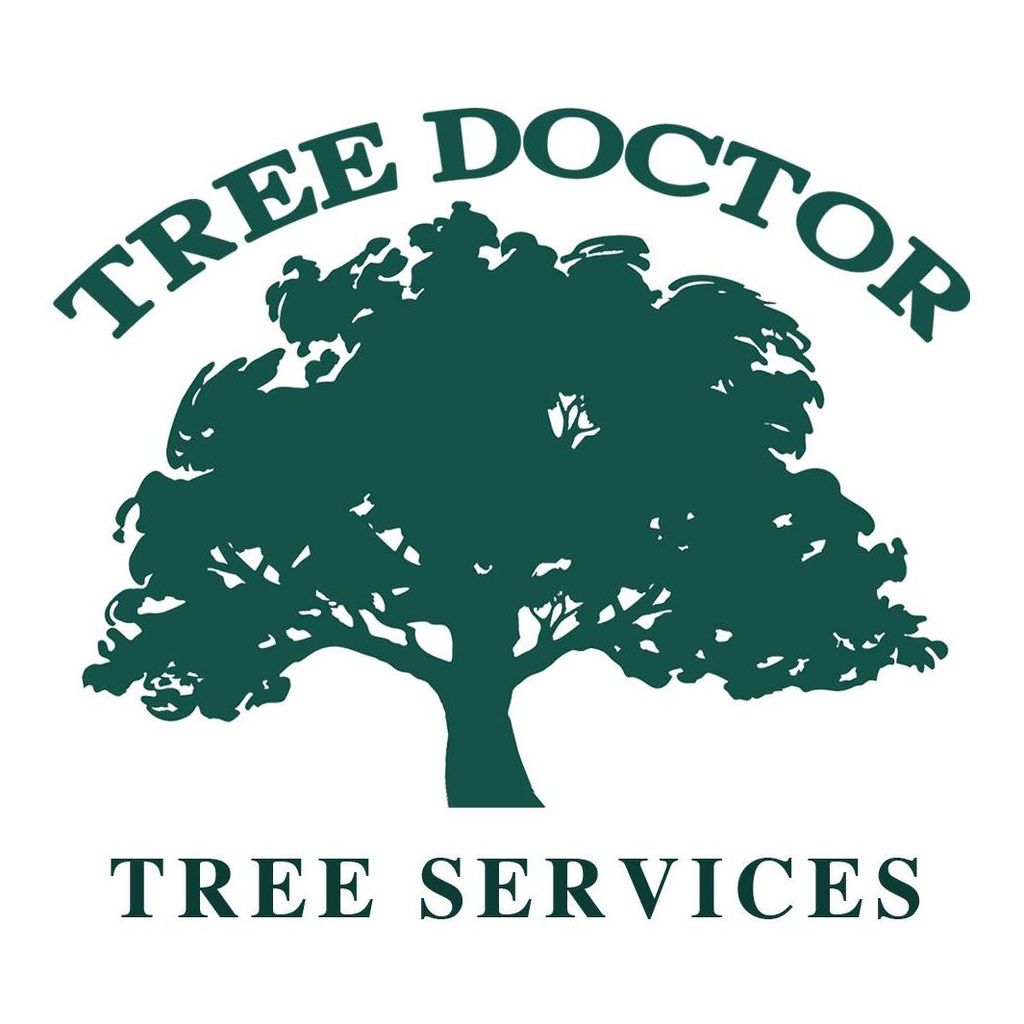 Tree Doctor