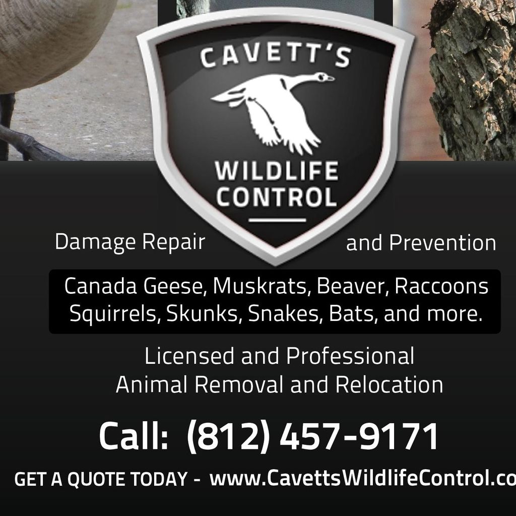 Cavett's Wildlife Control, LLC