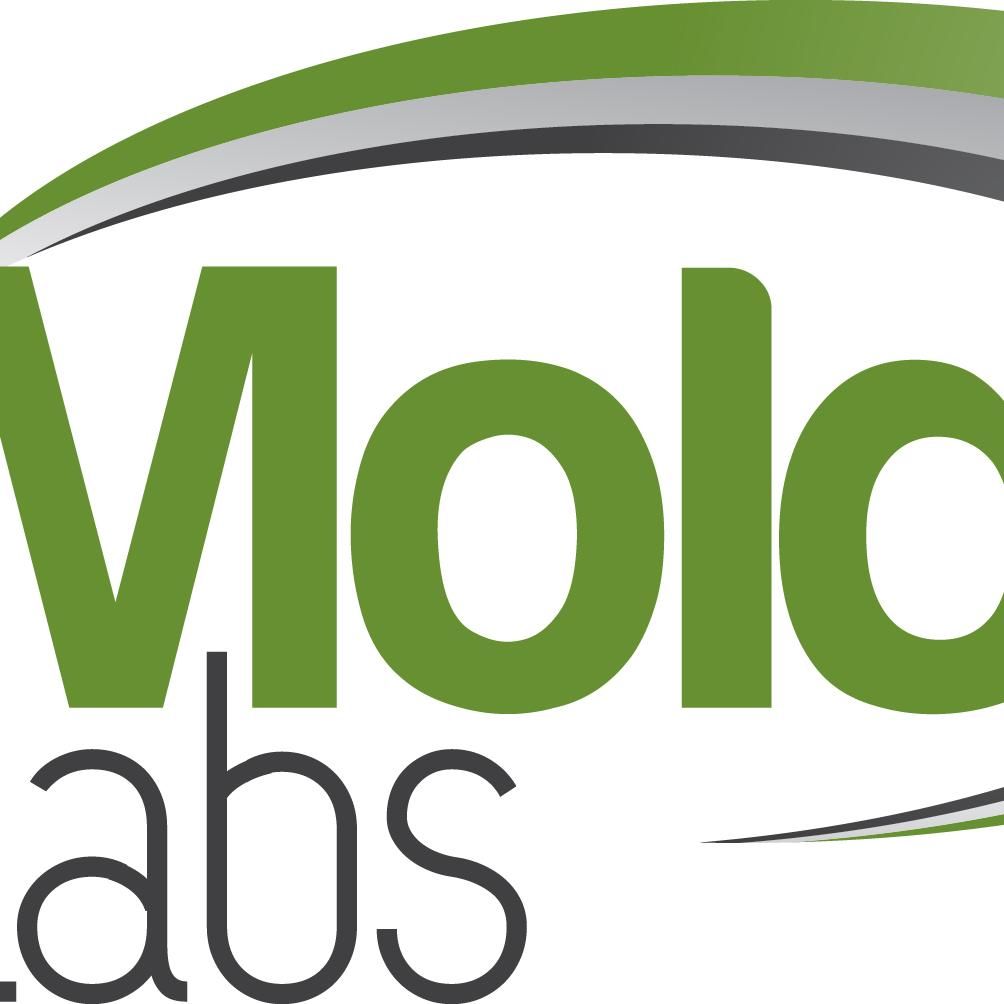 Quick Mold Labs
