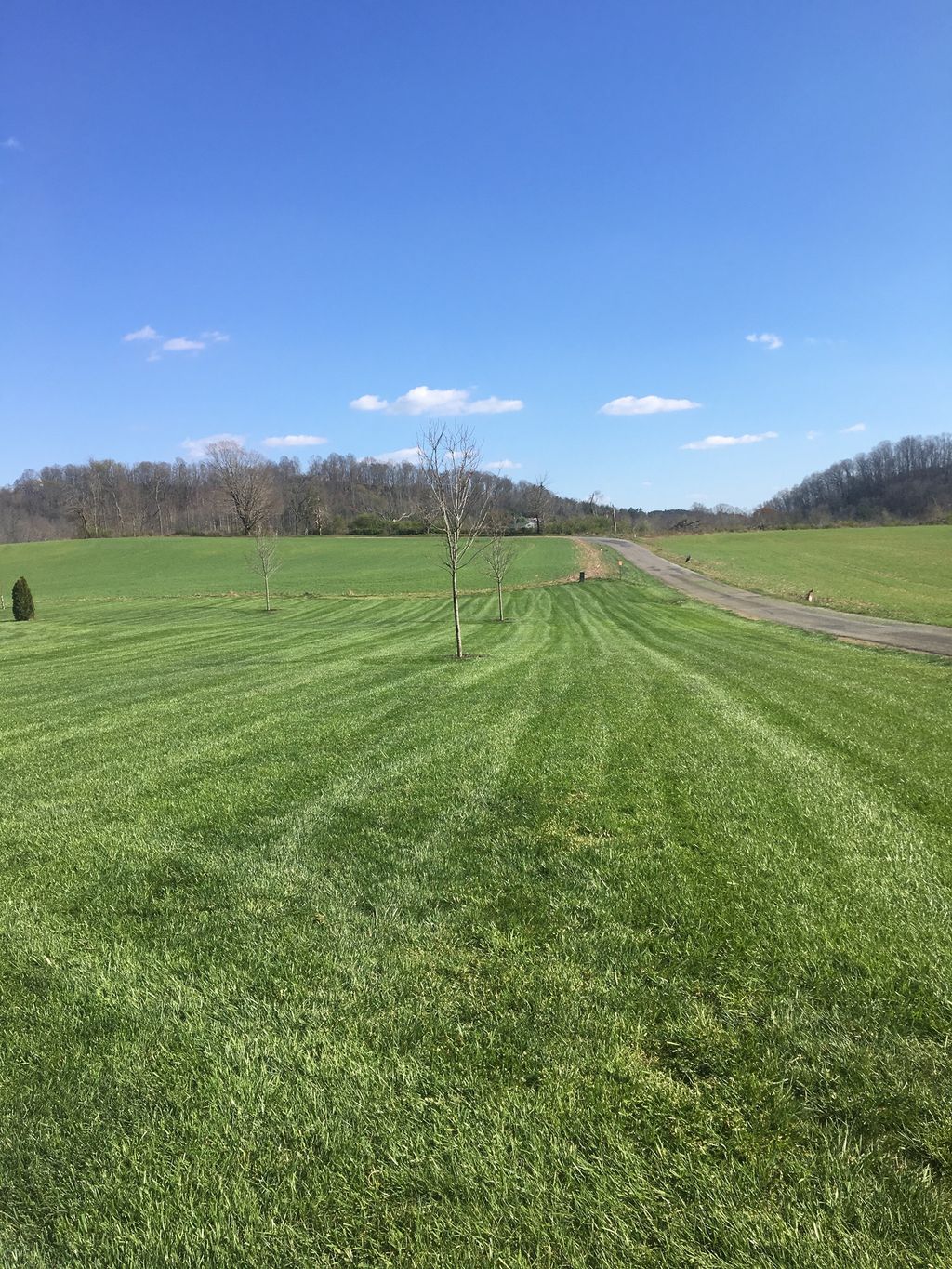 Before we started mowing. No stripes.