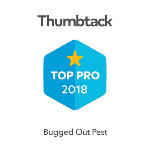 Bugged Out Pest is excited to be awarded Top Pro 2