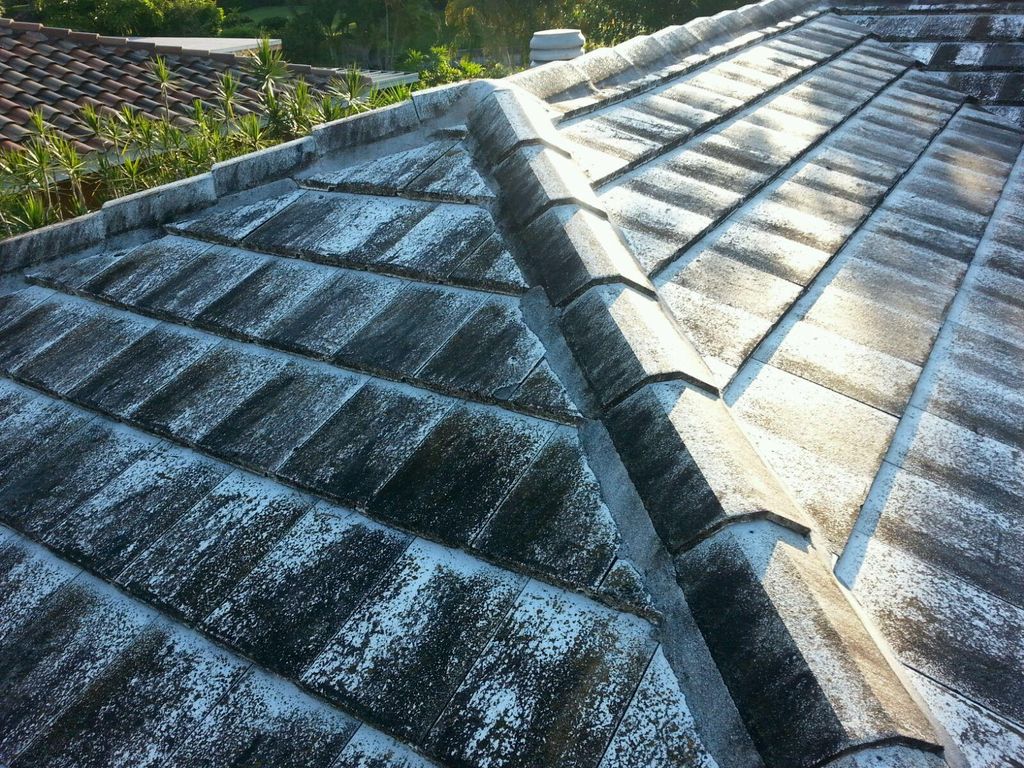 Roof and Gutters Before Suncoast Hydro Cleaning