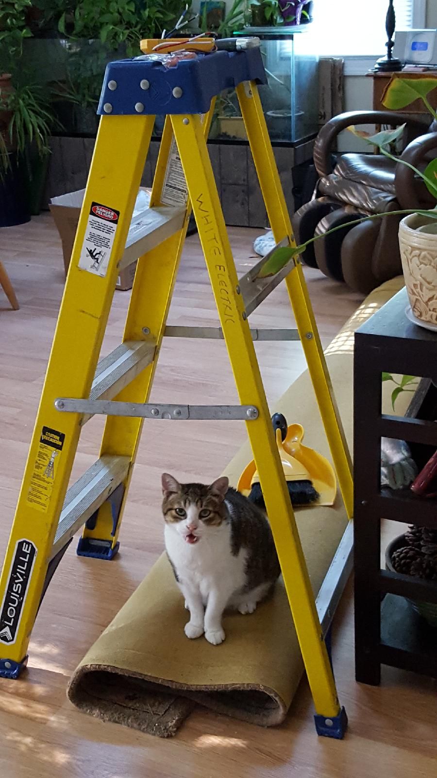 WORKS WELL WITH OTHERS