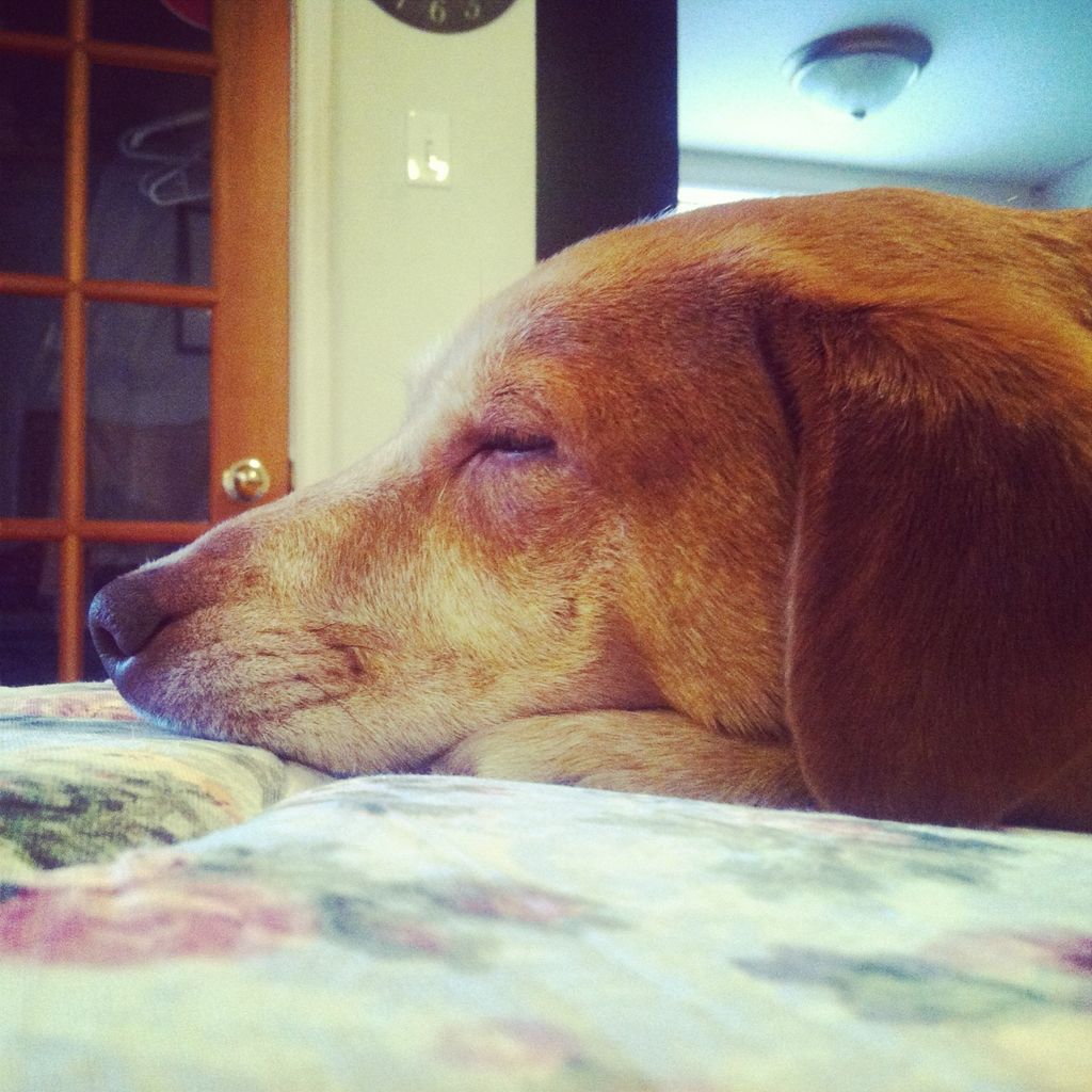 Honey Marie