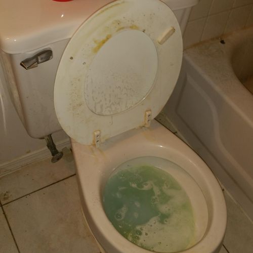 Toilet before its cleaned