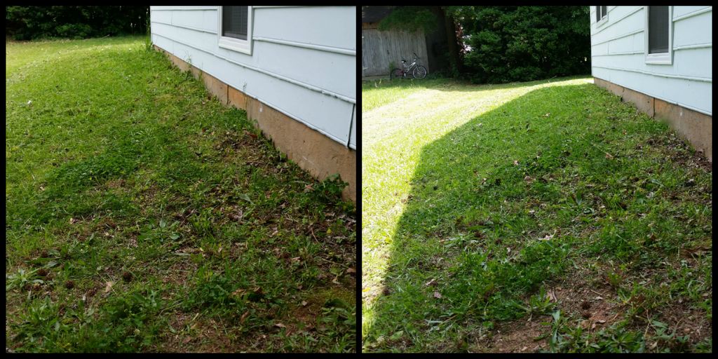 Weed wacking where the mowers don't reach