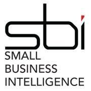 Small Business Intelligence